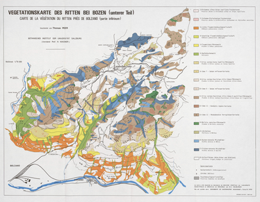 Vegetationskarte des Ritten bei Bozen (Tirol). Carte de la végétation du Ritten près de Bolzano (Tyrol) 49 x 63, 1/15 000