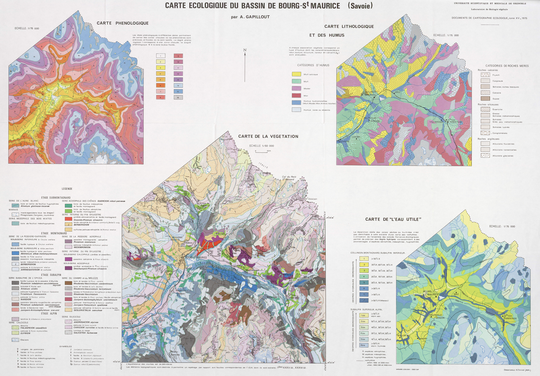 Carte écologique du bassin de Bourg-Saint-Maurice (Savoie) 64 x 90 cm, 1/50 000