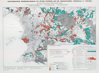 Cartographie épidémiologique du foyer marseillais de leishmaniose viscérale 50 x 69 cm, 1/50 000