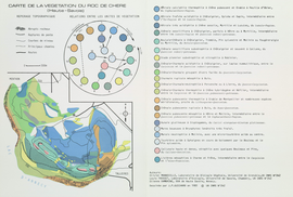 Carte de la végétation du Roc de Chère (Haute-Savoie) 26 x 38 cm, 1/10 000