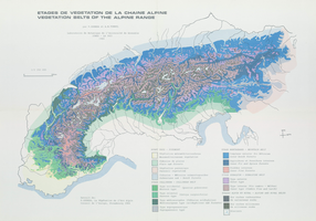 Etages de végétation de la chaine alpine (publié dans Ozenda, P., la végétation de l'arc alpin; conseil de l'Europe, Strasbourg, 1984) 34 x 49 cm, 1/ 2 250 000