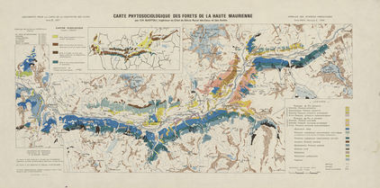 Carte phytosociologique des forêtes de la Haute-Maurienne 35 x 72 cm, 1/300 000