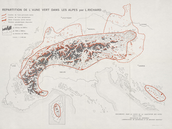 Répartition de l'Aune vert dans les Alpes 57 x 42 cm, 1/2 000 000